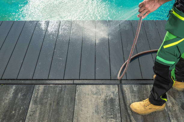 Best Roof Pressure Washing  in Colona, IL