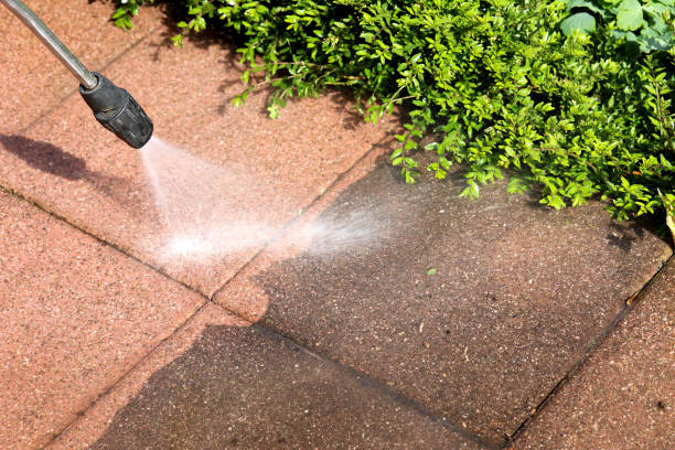 Deck Cleaning Services in Colona, IL