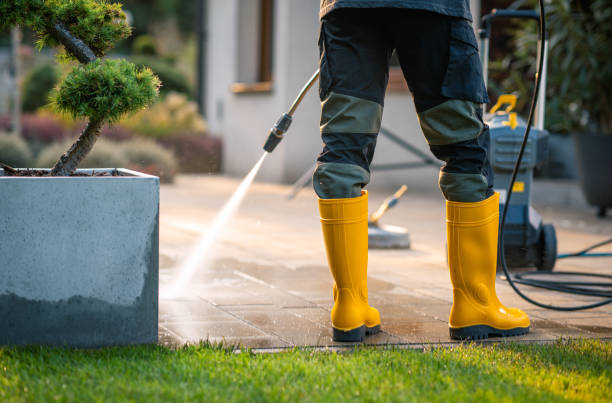 Best Concrete Pressure Washing  in Colona, IL